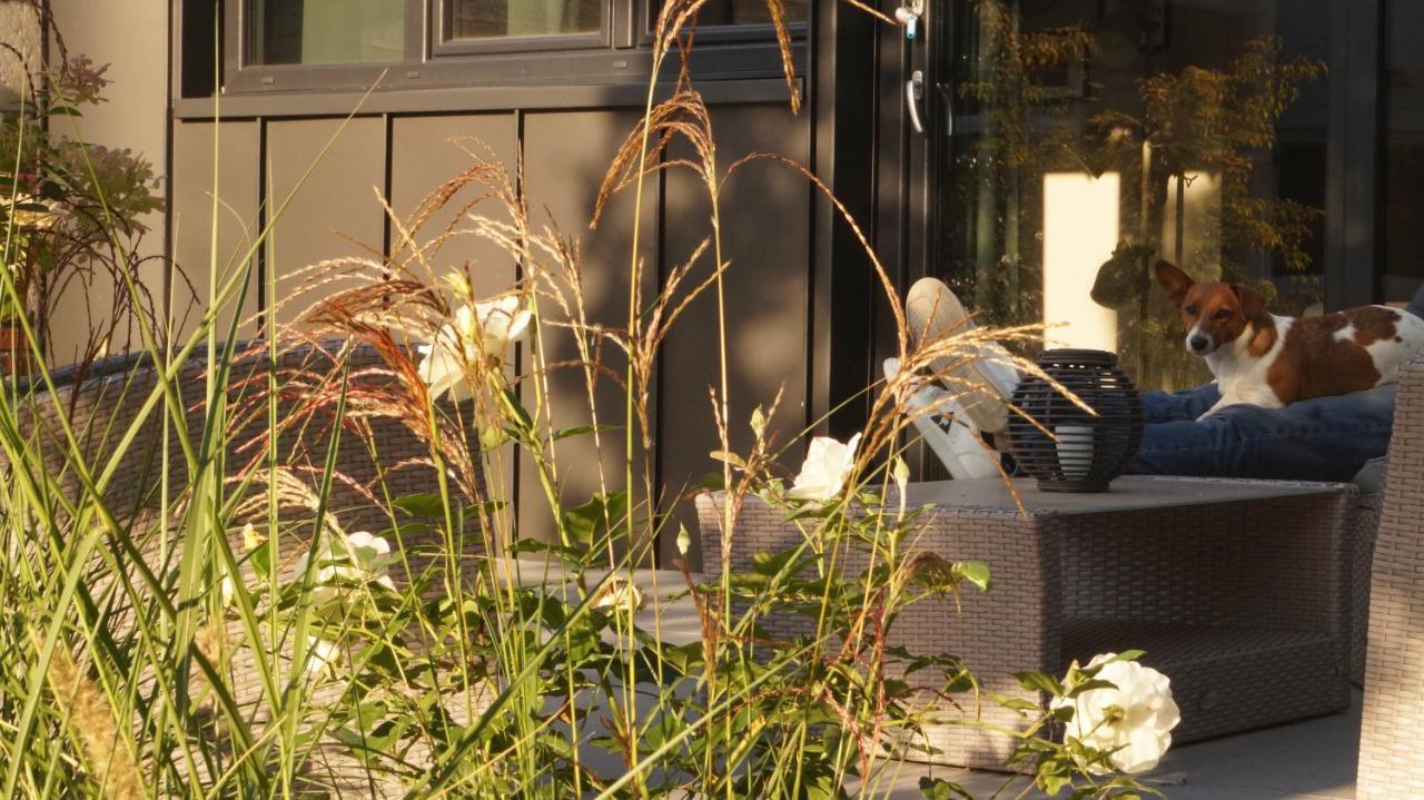 Bed and Breakfast Les Terrasses De Templeuve Екстер'єр фото
