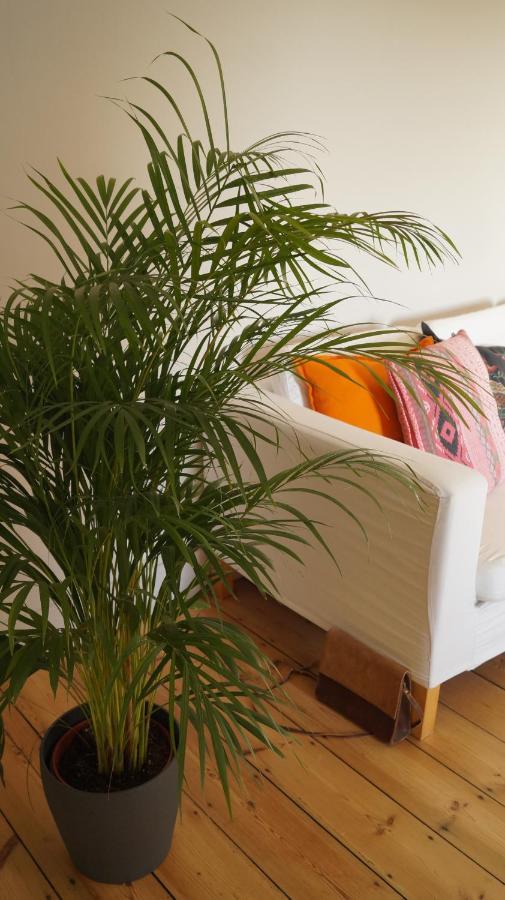 Bed and Breakfast Les Terrasses De Templeuve Екстер'єр фото